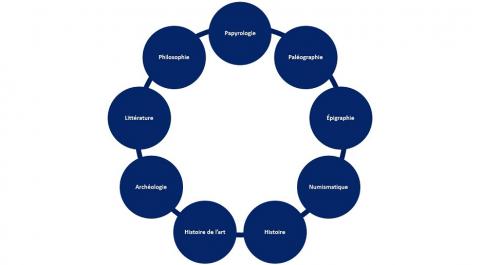 La transdisciplinarité