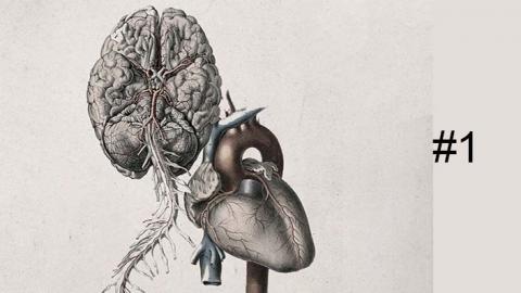 Séminaire#1 - "Physiologies médicales et philosophiques Séminaire#1 - "Physiologies médicales et philosophiques