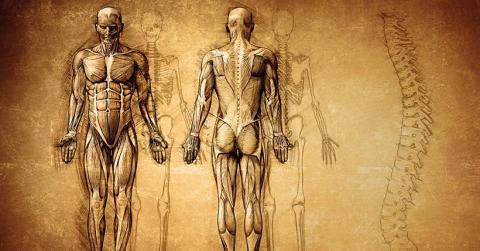 Rapport sur le projet "Physiologies médicales et philosophiques (Ve s. AEC-Ve s. EC)" Rapport sur le projet "Physiologies médicales et philosophiques (Ve s. AEC-Ve s. EC)"